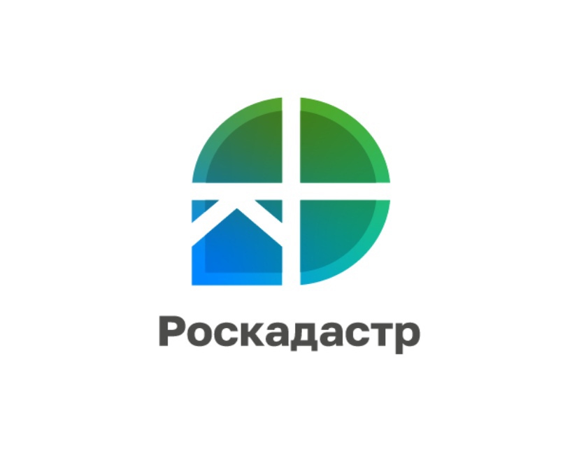 Воронежцы узнают о способах получения землеустроительной документации.