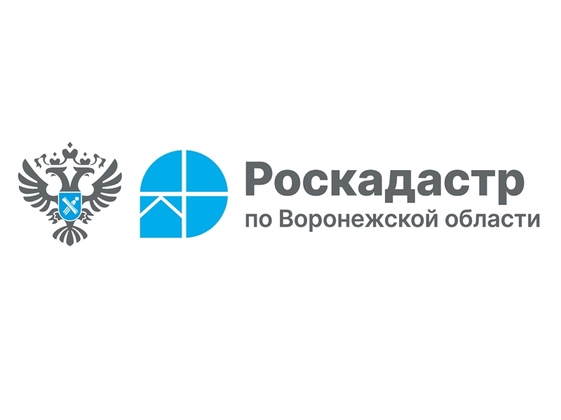 Воронежцы узнают, как получить копию документов из архива.