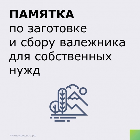 для граждан, осуществляющих заготовку и сбор валежника для собственных нужд.