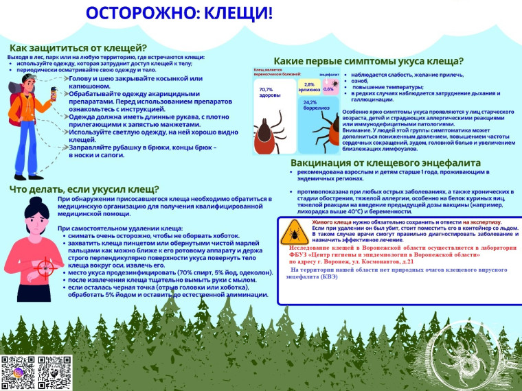 Осторожно клещи!. Осторожно клещи!.
