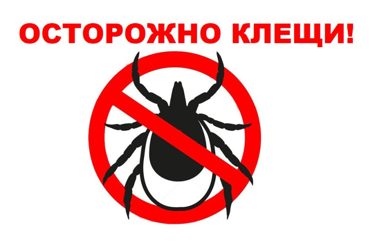 Осторожно клещи!. Осторожно клещи!.