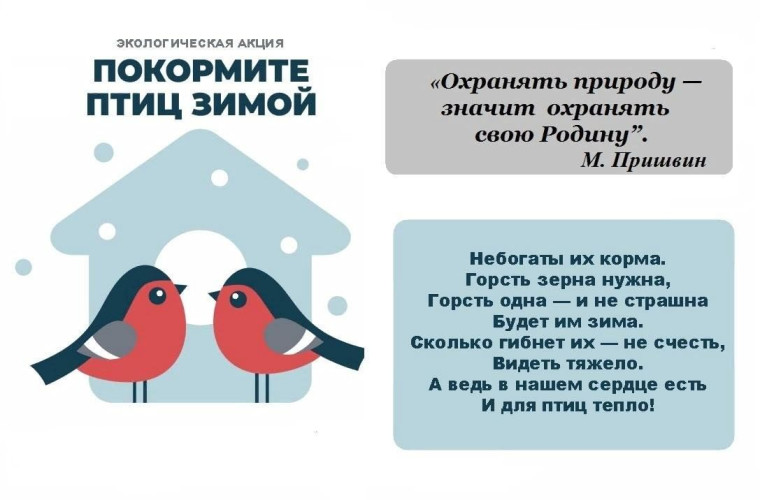 ВСЕРОССИЙСКАЯ АКЦИЯ "ПОКОРМИТЕ ПТИЦ ЗИМОЙ!". ВСЕРОССИЙСКАЯ АКЦИЯ "ПОКОРМИТЕ ПТИЦ ЗИМОЙ!".