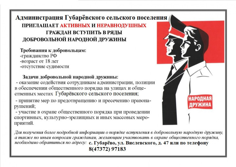 Добровольная народная дружина. Добровольная народная дружина.